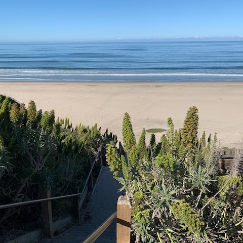 Beach Cleanup @ Beer Can Beach - logo